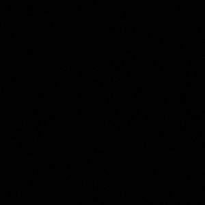 Meet your Posher, Annabelle